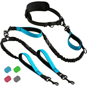 Hands-Free Dog Leash – Professional Harness with Reflective Stitches for Training, Walking, Jogging and Running Your Pet GRDHL-11