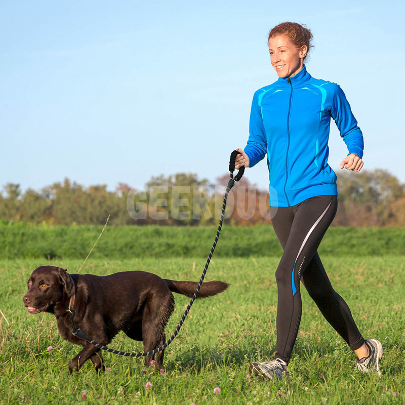 Strong Reflective Training Dog Slip Leash Rope GRDHL-6
