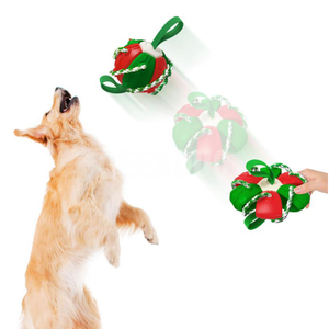 Interactive Pet Flying Disc Bite-resistant Throwing Dog Toy Ball GRDTD-2