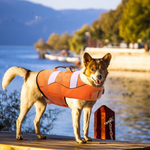Water Safety Dog Life Jacket Vest with Rescue Handle GRDAJ-1