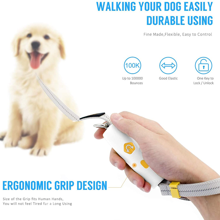 Wholesale Pet Leash with Security Buckle GRDHL1 Geerduo Pet