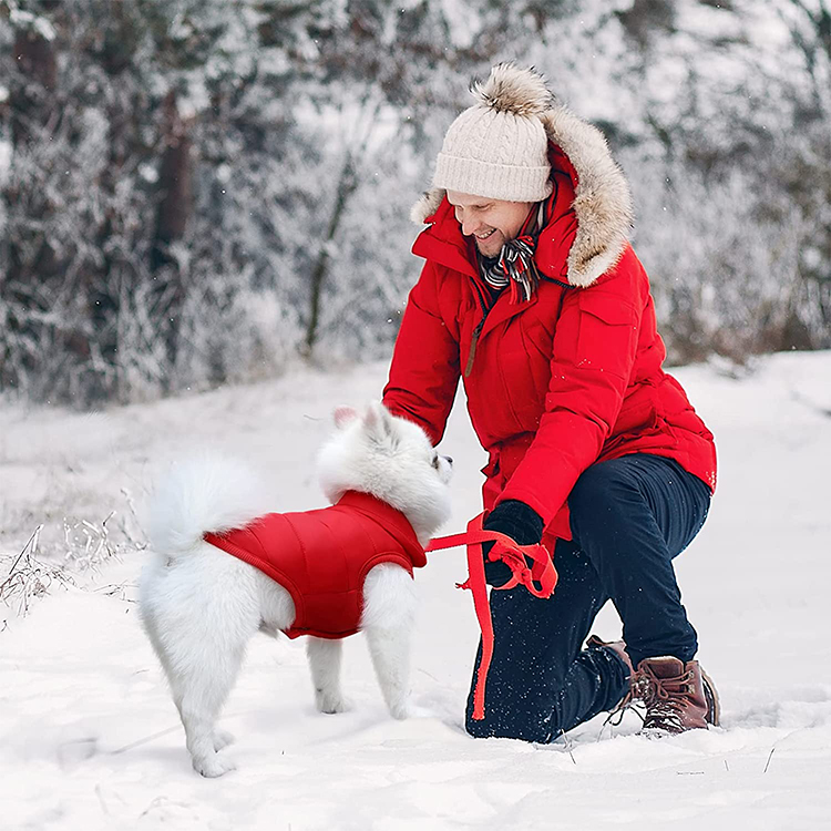 Waterproof Windproof Small Dog Vest Warm Dog Sweaters GRDAC-11