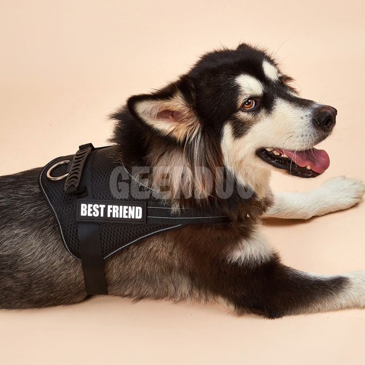 Pet Vest Walking Training Harness GRDHH-7