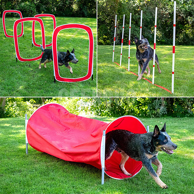 Whosales Outdoor Dog Training Tunnel GRDOP10