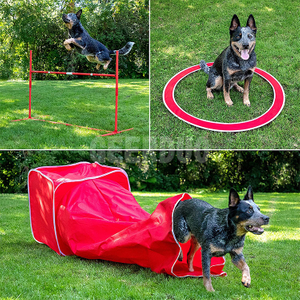 Dogs Training Tunnel Outdoor GRDOP-10