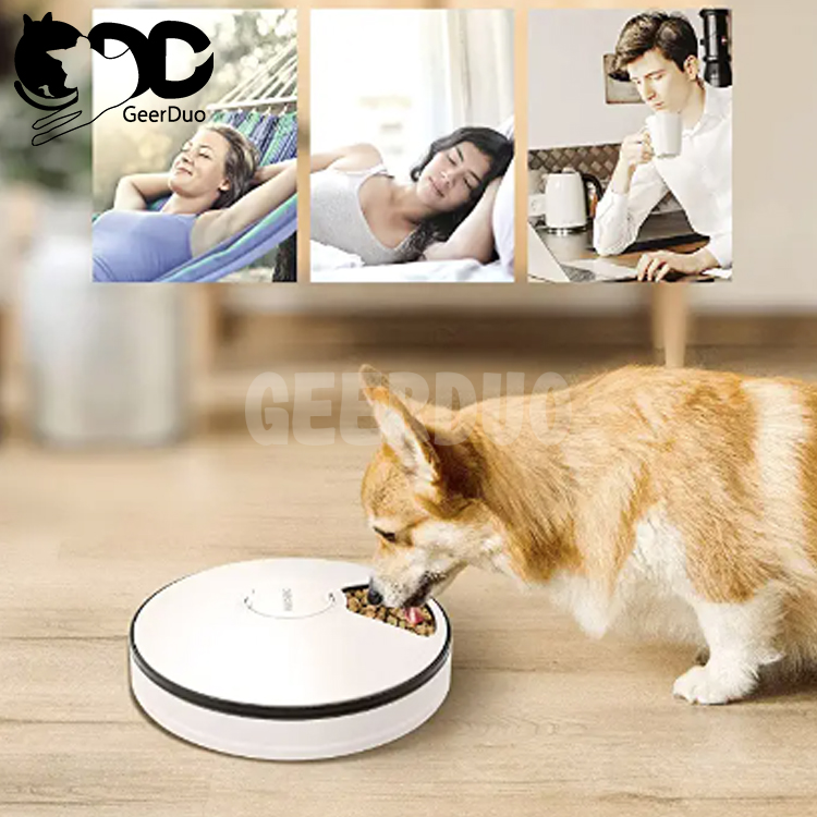 6 Meal Automatic Pet Feeder-Dry Cat Food Dispenser with Programmable Timer GRDSP-10
