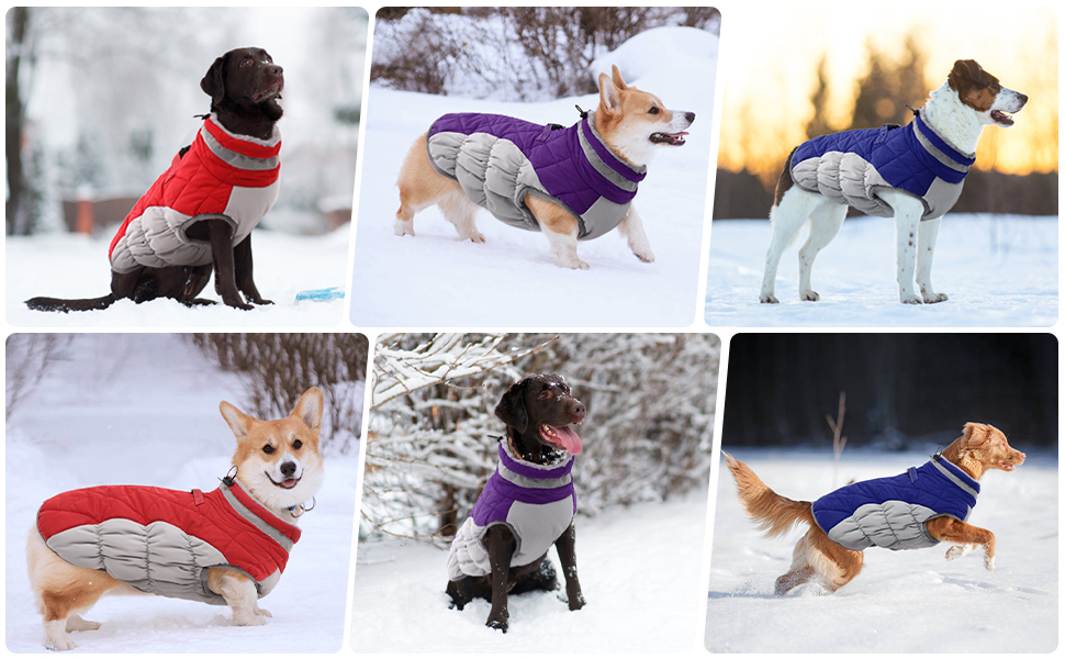 Padded Vest Reflective Dog Winter Coat Windproof Warm Winter Dog Jacket , GRDAC-8