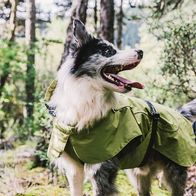Dog Raincoat Waterproof Pet Rain Jacket with Leash Hole , GRDAR-10