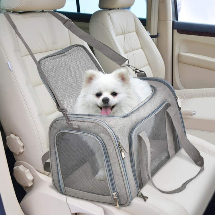 Airline Approved Collapsible Pet Carrier Bags for Puppies GRDBC-1