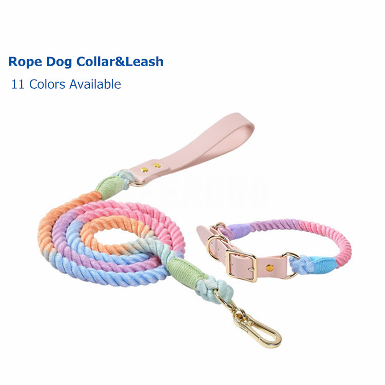 Rainbow Ombre Color Dog Training Collar Leash Set GRDHL-2
